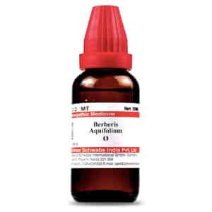 Dr. Willmar Schwabe India Berberis Aquifolium Mother Tincture Q 30 Ml