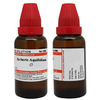 Dr. Willmar Schwabe India Berberis Aquifolium Mother Tincture Q 30 Ml