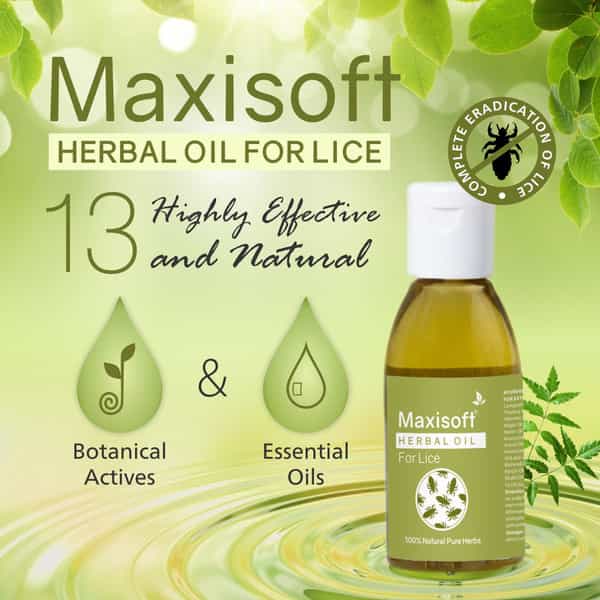 Maxisoft Herbal Oil For Lice | 25 Ml | Pack Of 4