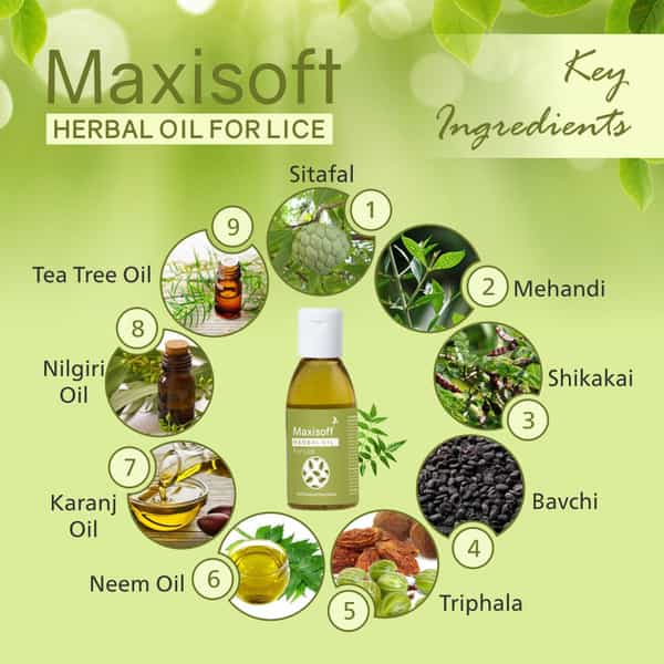 Maxisoft Herbal Oil For Lice | 25 Ml | Pack Of 4