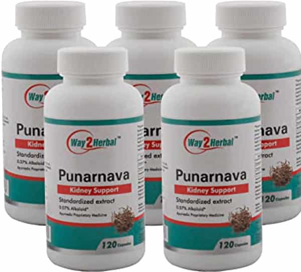 Way2herbal Punarnava Capsules 120 Capsules (Pack Of 5)