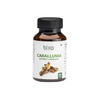 Bixa Botanical Caralluma Extract 60 Veg Capsules (450Mg) 30% Pregnane Glycosides
