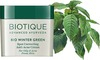 Biotique Winter Green Spot Correcting Anti Acne 15 Gm