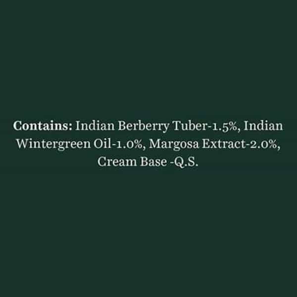 Biotique Winter Green Spot Correcting Anti Acne 15 Gm