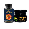 Fij Ayurveda Pure Shilajit/Shilajeet Resin 20Gm With Shilajit Capsule - 60 Capsules (Combo Pack)