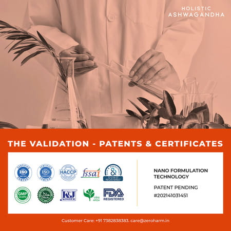 Holistic Ashwagandha|Fight Against Stress & Anxiety| Improves Fertility-60 Tab