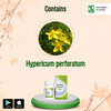Dr. Willmar Schwabe India Hypericum Perforatum 1x 20gm