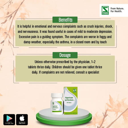Dr. Willmar Schwabe India Hypericum Perforatum 1x 20gm