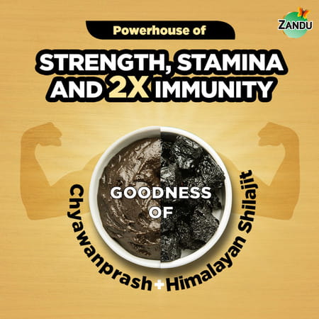 Zandu Shilajitprash Chyawanprash Jar 450 Gm