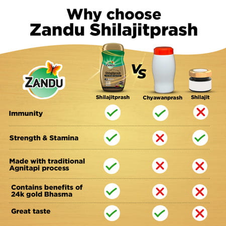 Zandu Shilajitprash Chyawanprash Jar 450 Gm