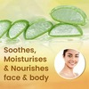 Boroplus Aloe Gel Haldi Chandan Kesar - 150Ml