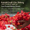 Nat Habit 5-Oil Hibiscus Fresh Hair Mask (Nutrimask) For Hair Growth (40G)