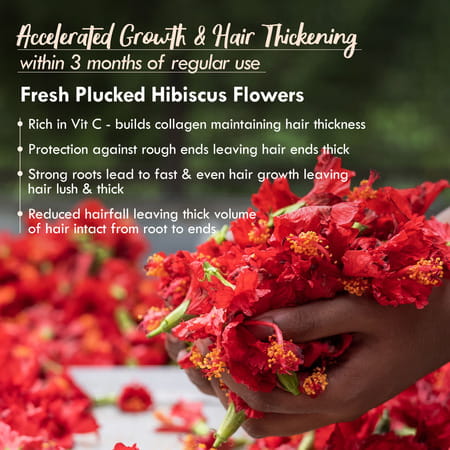 Nat Habit 5-Oil Hibiscus Fresh Hair Mask (Nutrimask) For Hair Growth (40g)