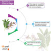 Go Woo 100% Pure Clary Sage Oil - Virgin & Undiluted For Skin Care & Hair 10 Ml