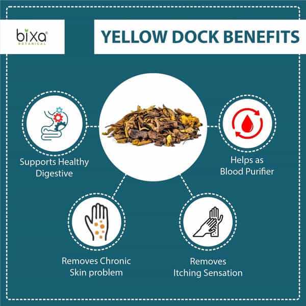 Bixa Botanical Yellow Dock Powder (Rumex Crispus) Herbal Supplement For Chronic Skin Problems(200G)