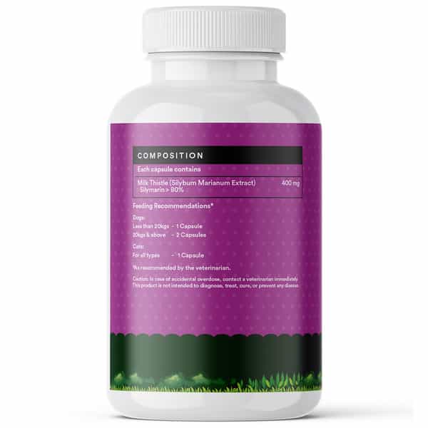 Inlife Milk Thistle Capsules For Dogs & Cats | Liver Detox & Kidney Health | 400Mg - 60 Veg Capsules