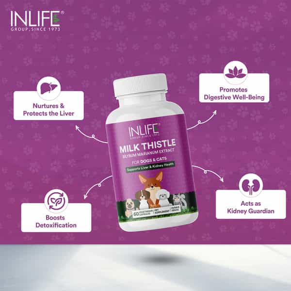 Inlife Milk Thistle Capsules For Dogs & Cats | Liver Detox & Kidney Health | 400Mg - 60 Veg Capsules