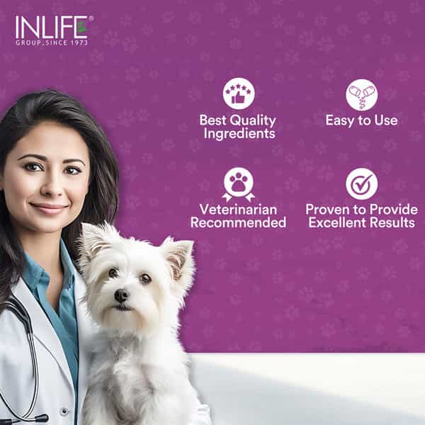Inlife Milk Thistle Capsules For Dogs & Cats | Liver Detox & Kidney Health | 400Mg - 60 Veg Capsules