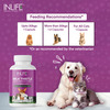 Inlife Milk Thistle Capsules For Dogs & Cats | Liver Detox & Kidney Health | 400Mg - 60 Veg Capsules