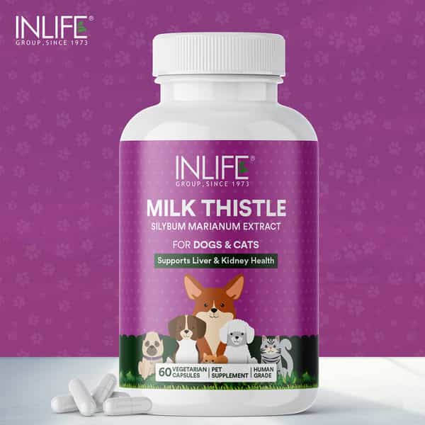 Inlife Milk Thistle Capsules For Dogs & Cats | Liver Detox & Kidney Health | 400Mg - 60 Veg Capsules