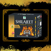 Prime Shilajit Capsules | Ayurvedic Supplement For Vitality Strength & Stamina 100 No's