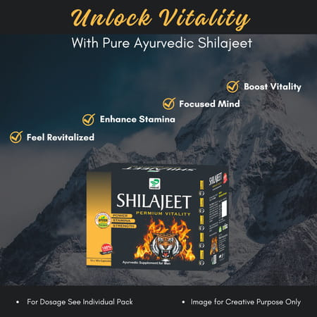 Prime Shilajit Capsules | Ayurvedic Supplement For Vitality Strength & Stamina 100 No'S