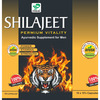 Prime Shilajit Capsules | Ayurvedic Supplement For Vitality Strength & Stamina 100 No's