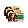Streax Ultralights Highlighting Kit For Women & Men | Brown 60 Ml (Pack Of 3)