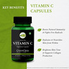 Greenopia Vitamin C Amla Extract 60 Vegetarian Capsules