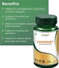 Medlife Essentials Livsupport Tablet 60
