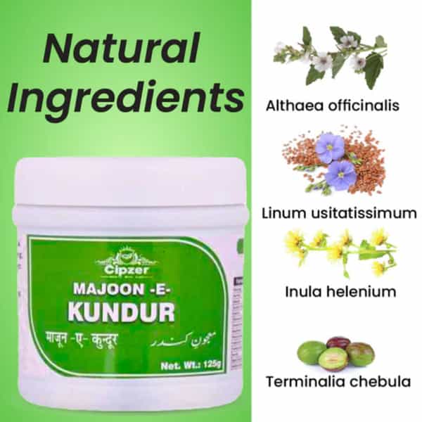 Cipzer Majun-E-Kundur 125G | Supports Kidney & Urinary Bladder Health