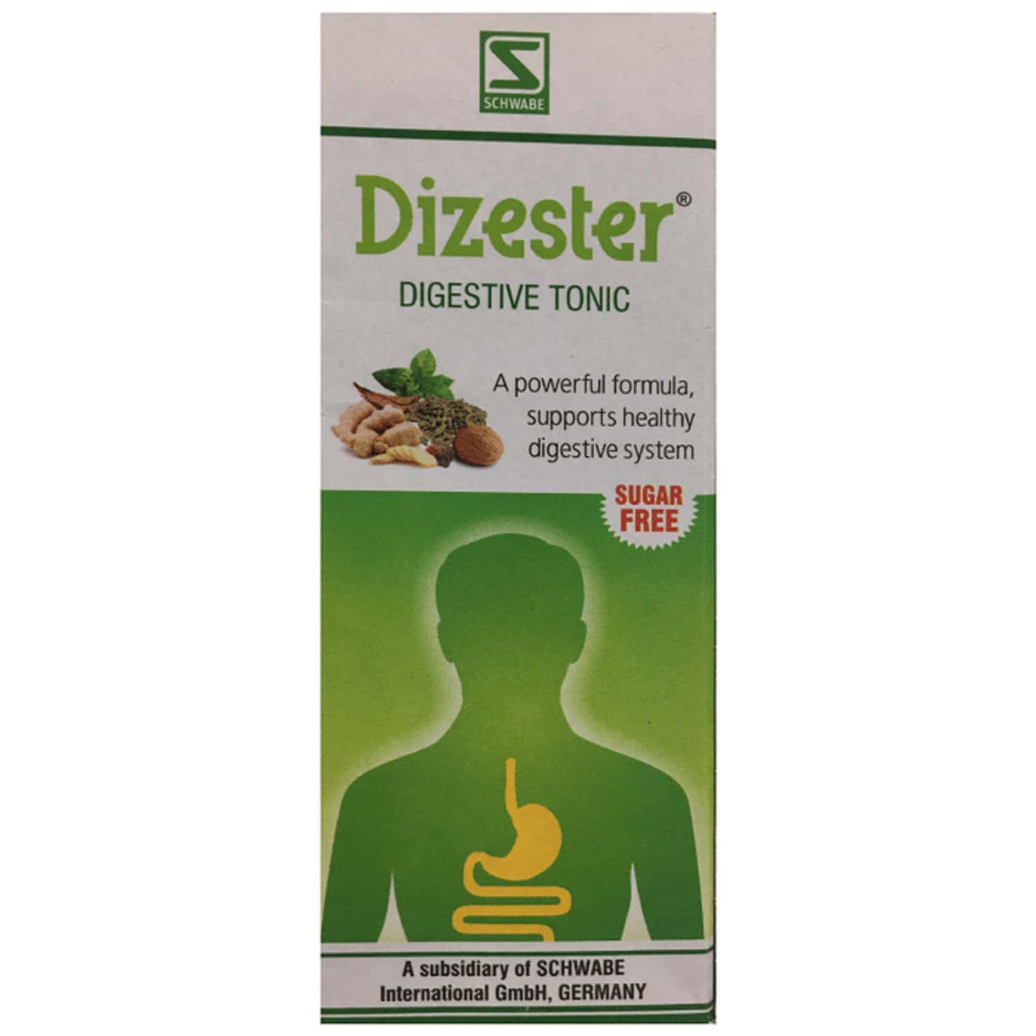 Dr. Willmar Schwabe India Dizester Digestive Tonic Sugar Free 100 Ml