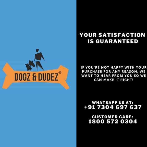 Dogz & Dudez Herbal Ear Cleaner