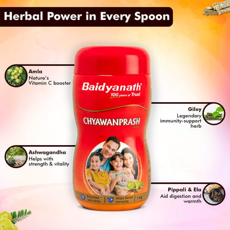 Baidyanath Chyawanprash Avleha 1 Kg | Ayurvedic Immunity Booster