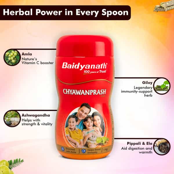 Baidyanath Ayurved Chyawanprash Avleha 1Kg | Immunity Booster