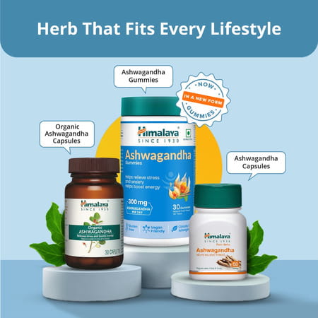 Himalaya Ashwagandha Gummies | Helps Relieve Stress And Anxiety |Helps Boost Energy Bottle Of 60 Nos