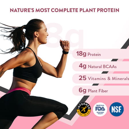 Wellbeing Nutrition Her Superfood Plant Protein Powder | Chocolate Peanut Butter 500g