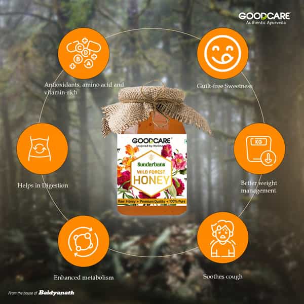 Goodcare Sundarbans Wild Forest Honey 500G | 100% Natural | Raw | Boosts Immunity & Energy