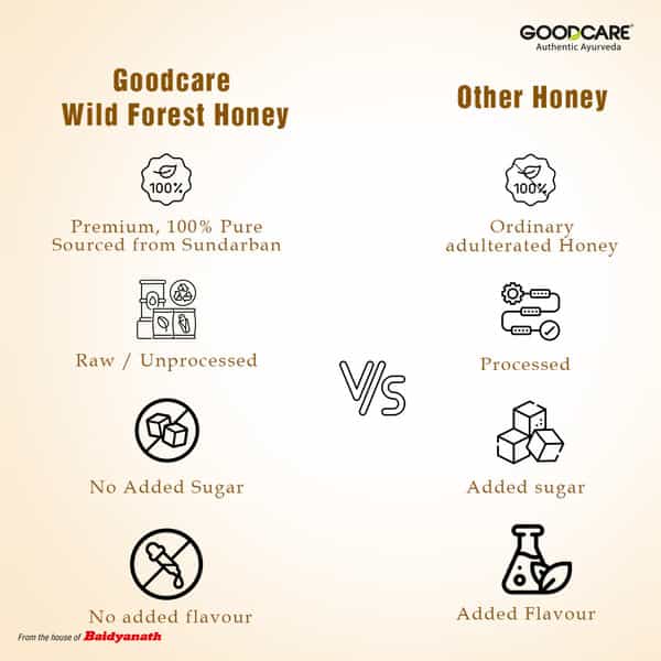 Goodcare Sundarbans Wild Forest Honey 500G | 100% Natural | Raw | Boosts Immunity & Energy
