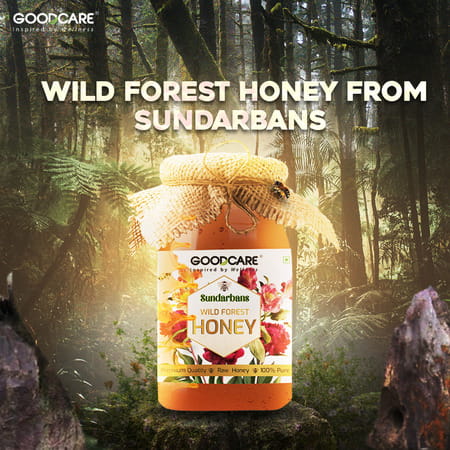 Goodcare Sundarbans Wild Forest Honey 500g | 100% Natural, Raw, Boosts Immunity & Energy
