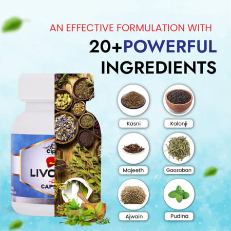 Cipzer Livolife Ds | Herbal Liver Tonic| For Liver Health & Reduces Fatty Liver Risk | 30 Capsules