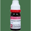 Dr. Reckeweg Conium Mac Dilution 200 Ch 11 Ml