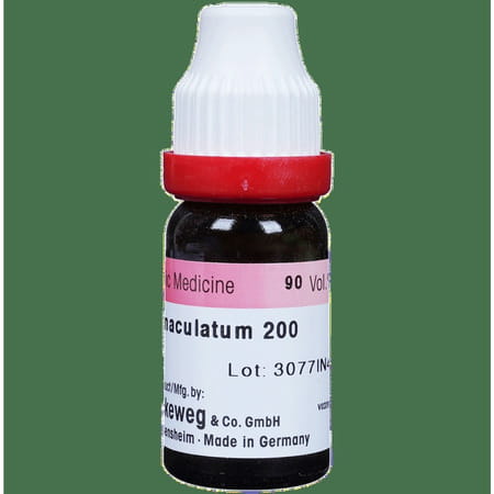 Dr. Reckeweg Conium Mac Dilution 200 Ch 11 Ml