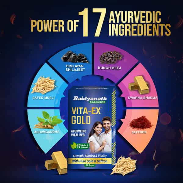 Baidyanath Vita Ex Gold | Enrich With Pure Gold | Help Boost Stamina | Bottle | Capsules | 20 No's