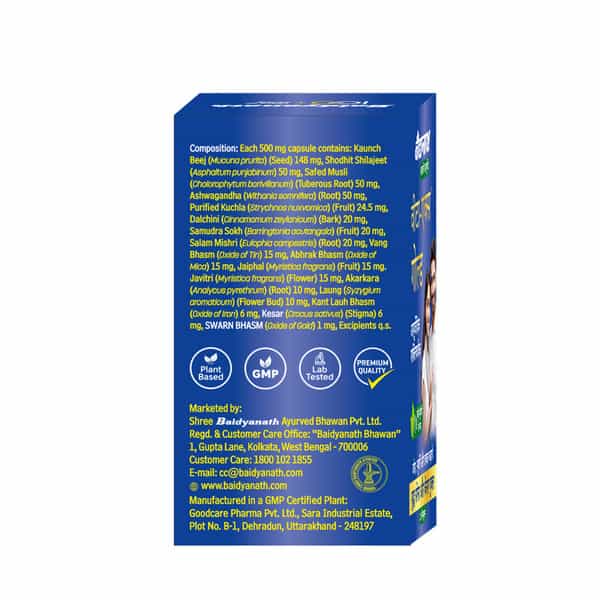 Baidyanath Vita Ex Gold | Enrich With Pure Gold | Help Boost Stamina | Bottle | Capsules | 20 No's