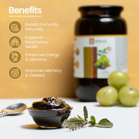 Krishna's Chywanprash Preservative Free 1Kg