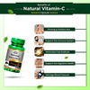 Cipzer Natural Vitamin C Capsules | Fights Premature Skin Aging & Brightens Complexion | 30 Capsules