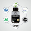 Earth King Safed Musli Extract Capsule (Chlorophytum Borivilianum) | 500 Mg 120 Capsules (Pack Of 2)