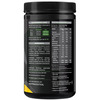 Muscleblaze Bcaa Pro | Powerful Intra Workout (Watermelon | 450 G | 30 Servings)