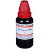 Dr. Willmar Schwabe India Boerhaavia Diffusa Mother Tincture Q 30 Ml